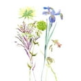 thumbnail image 3 of Wang, Melissa 13x18 Black Modern Framed Museum Art Print Titled - Watercolor Floral Study II, 3 of 5