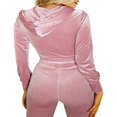 thumbnail image 3 of Women Workout Sets Velvet Long Sleeve Zip Up Crop Hoodie Drawstring Sweatpants With Pockets Tracksuit, 3 of 4