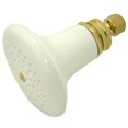 thumbnail image 1 of 5-.5 Inch Diameter Ceramic Shower Head - Polished Brass, 1 of 1