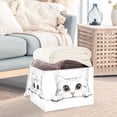 thumbnail image 3 of Yayeee Collapsible Cube Storage Bin with Lid Fabric Closet Decorative Basket with Handles, White Cat, 3 of 7