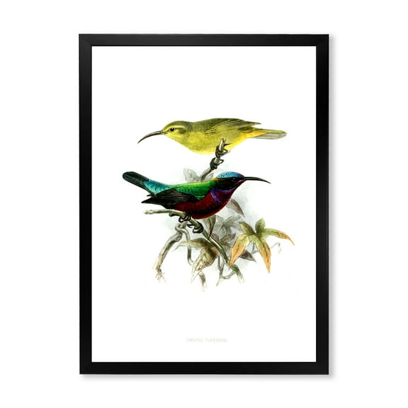 Designart 'Ancient Australian Birds XV' Traditional Framed Art Print