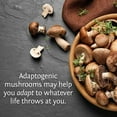 thumbnail image 6 of Sunwarrior Organic Nootropic Mushroom Brain Support Supplement, 60 Capsules, 6 of 7