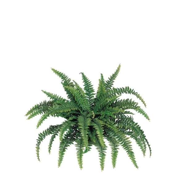 28-Inch Boston Fern Plant with 27 Leaves – Artificial Greenery Bush for Home, Office & Event Décor