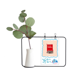 thumbnail image 1 of China Red Education Union Jarrones colgantes de vidrio transparente Decoración Botella, 1 of 4