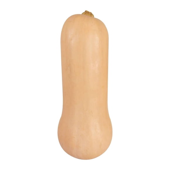 Calabaza butternut por kilo