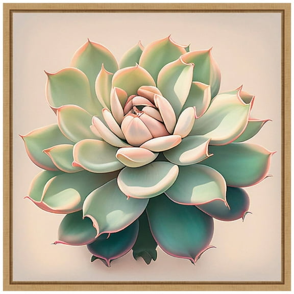 Amanti Art Echeveria Pulidinis Framed Canvas Wall Art Print