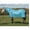 White, variant on Weaver Leather Mesh Fly Sheet with UV Protection - Breathable Horse Fly Sheet - Multiple Sizes Hurricane Blue / 82
