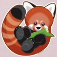 thumbnail image 3 of CafePress - Red Panda Toddler T Shirt - Cute Toddler T-Shirt, 100% Cotton, 3 of 4