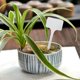 thumbnail image 2 of Large Plastic Plant Labels 6 Inch 50 Pack White Sturdy Extra Large T-Style Plastic Plant Labels for Flower beds,Plant pots, 2 of 5