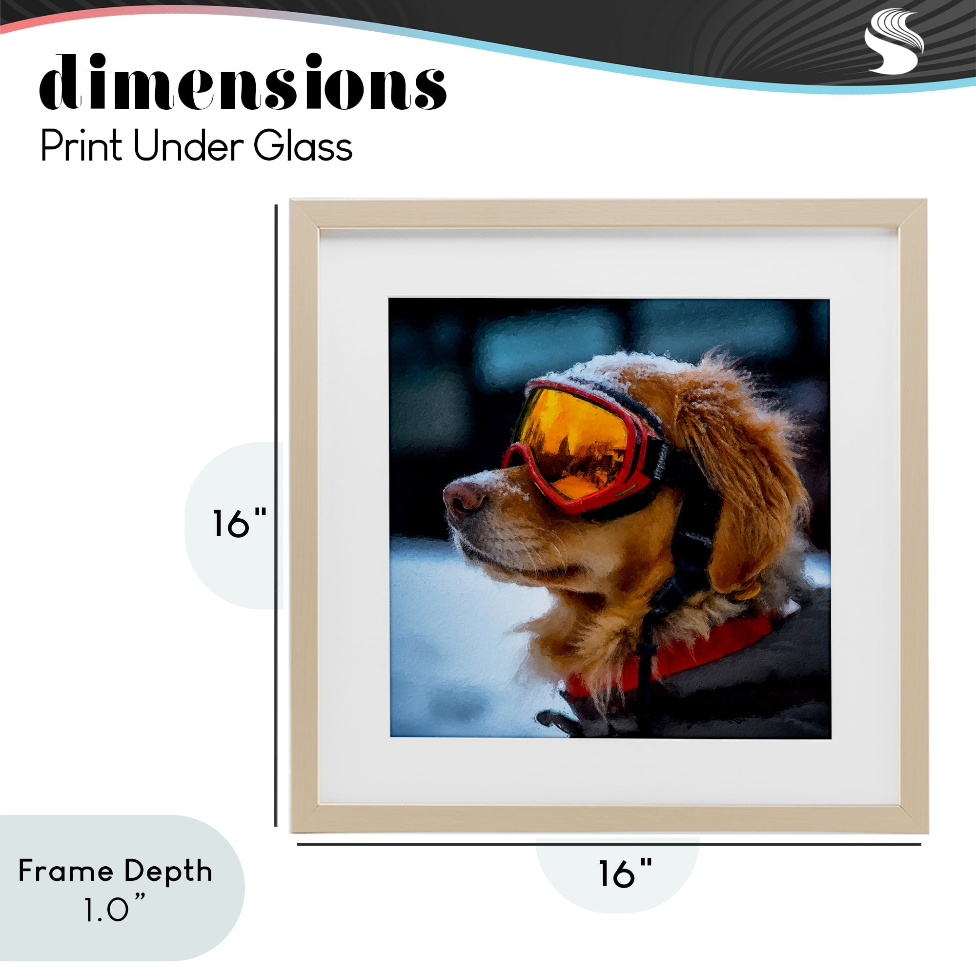 Stupell Industries Ski Goggles Dog Birch Framed Print Under Glass, design by Sean Parnell