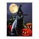 thumbnail image 1 of Cuadros Decorativos (DE2542) gato negro de Halloween 5D taladro completo diamante pintura DIY artesanía punto de cruz 30x40cm Tmvgtek embutido en tela, 1 of 1