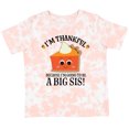 thumbnail image 3 of Inktastic Thanksgiving Big Sis Announcement Girls Toddler T-Shirt, 3 of 5
