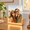 6" x 8"-8, variant on 2 Pack Glsublimation Led Night Light Blanks Photo Frame 6"x8"