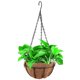 thumbnail image 4 of 10x cultivadores cesta colgante maceta con cadena flor planta maceta hogar En balcón rata, 4 of 5