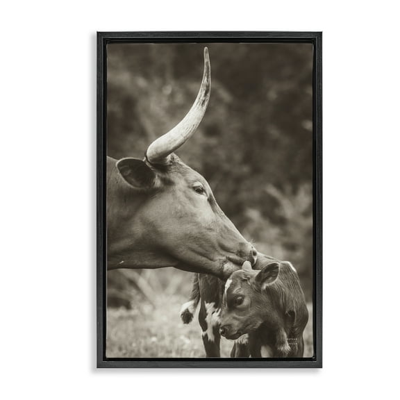 Stupell Industries Longhorn Kissing Baby Animals Photography Black Floater Framed Canvas Art Print Wall Art, 17 x 25