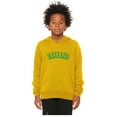 thumbnail image 2 of Daxton Youth Unisex Pullover Cities State Hoodie Mid-Weight Fleece Sweater - Oakland Gold Green, XS, 2 of 3