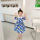 thumbnail image 1 of Vestido de princesa de verano para niños, vestidos florales de crisantemo para niñas, falda plisada estampada de estilo pastoral, ropa informal 1-7Y110(4T) Gao Jinjia LED, 1 of 2