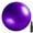PURPLE, variant on 65cm Anti Burst Yoga Swiss Ball With Pump