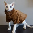 thumbnail image 3 of Suéter de gato Sphynx, camisa suave de dos patas para bebé, suéter de invierno cálido de color sólido de Cornualles, ropa para gatitos y mascotas, 3 of 5