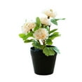 thumbnail image 1 of Whataatahia Bola de flores falsas crisantemo pequeño bonsái decoración de escritorio planta verde artificial maceta de plástico en maceta, 1 of 5