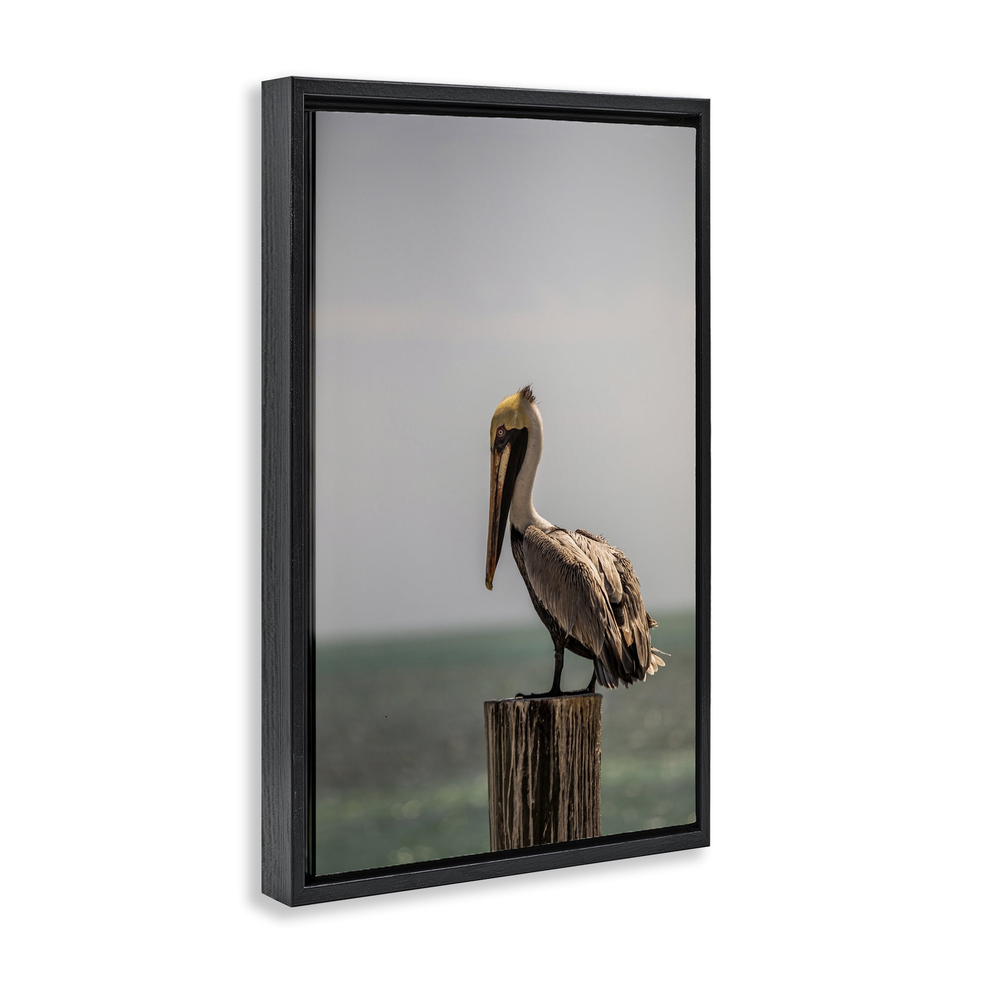 Stupell Industries Nautical Landscape Pelican Animals Photography Black Floater Framed Canvas Art Print Wall Art, 17 x 25
