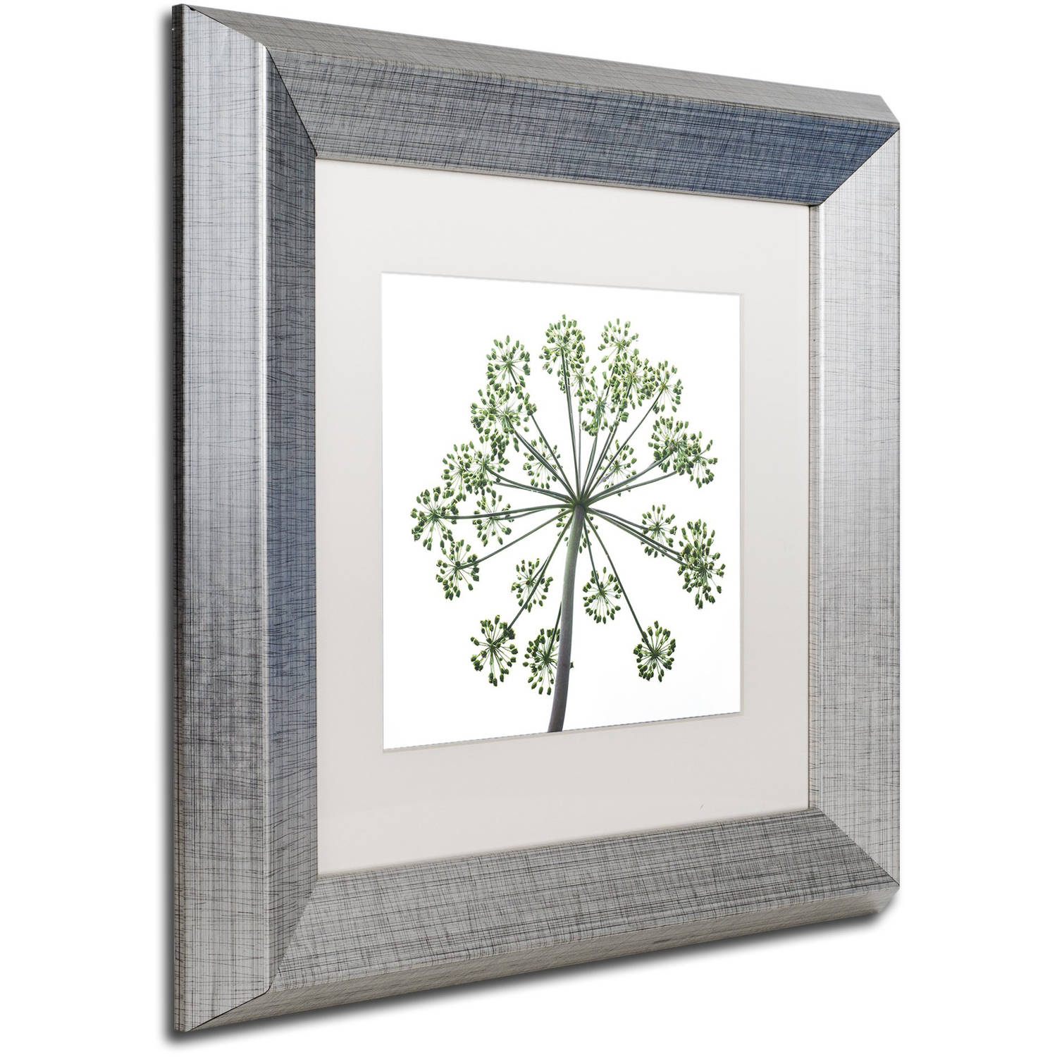 Trademark Fine Art "Nature's Amazing Wonder" Canvas Art by Kurt Shaffer, White Matte, Silver Frame