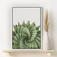 thumbnail image 2 of PixonSign Framed Canvas Print Wall Art Twisting Spiral Aloe Succulent Botanical Flower Photography Modern Art Contemporary Relax/Calm Green Cool for Living Room, Bedroom, Office - 24"x36" White, 2 of 5