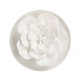 thumbnail image 1 of SGACAI Difusor pasivo de flores de aceites esenciales,, 1 of 7