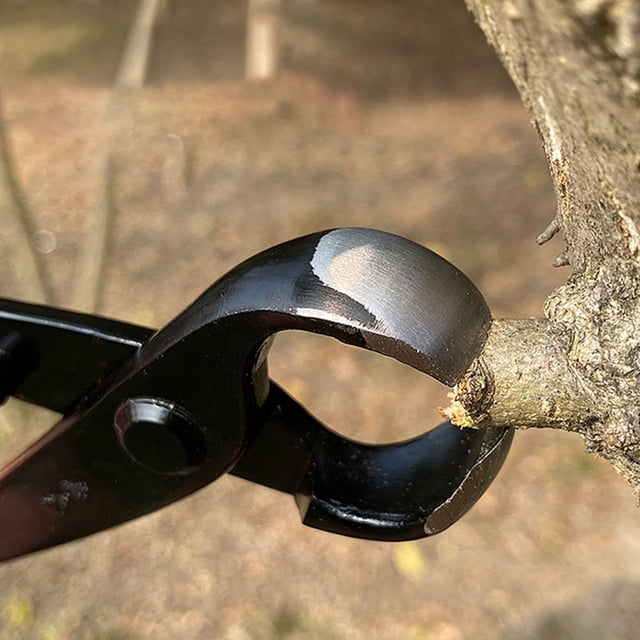 FOMIYES De Bonsai Para Ramas Y Arbustos Con En Al Carbono Negro