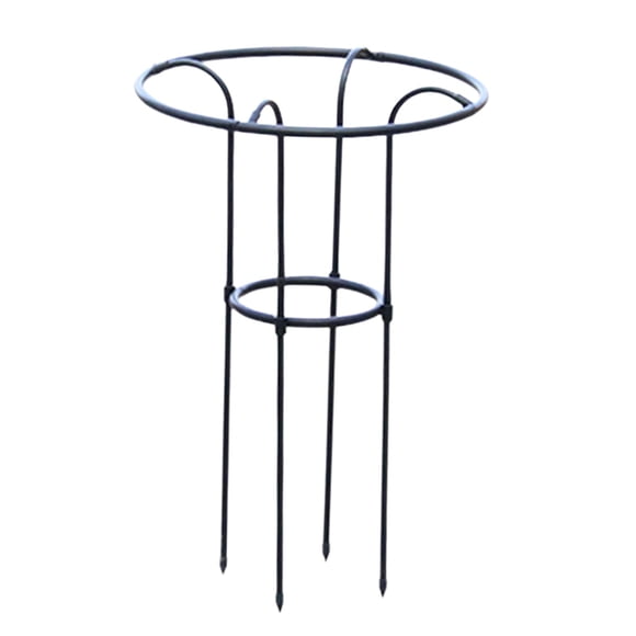 kurtrusly Treillis de Support pour Plantes Grimpantes, Cage à Tomates, Roses Grimpantes pour Fleurs, Noir 70 cm