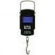 thumbnail image 1 of Luggage Scale 50kg Portable Digital Fishing Scale Weighing Scale for Fishing, Weighing Suitcase, Travel, Home Use, 1 of 5