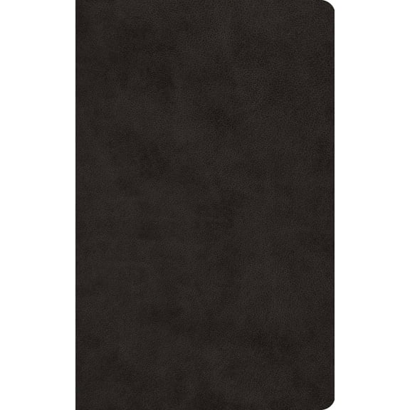 Pre-Owned ESV Large Print Value Thinline Bible (Trutone, Black) (Imitation Leather) 1433555972 9781433555978