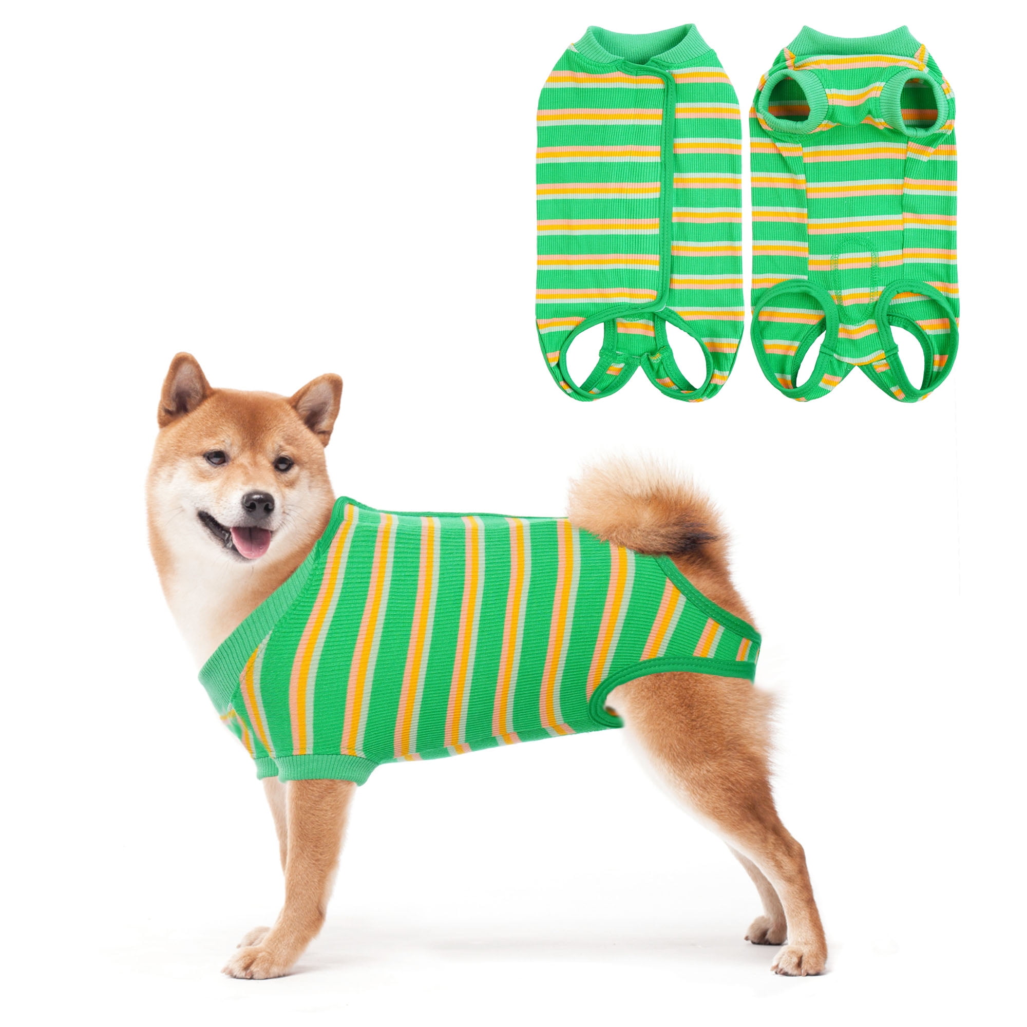 Are Dog Jackets Necessary