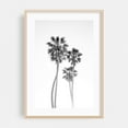 thumbnail image 2 of Monochrome California Palms - Los Angeles California Photography Palm Tree Black and White Minimalist Nature Tropical Coastal Beach House Unframed Wall Art Print 20 x 30 inches, 2 of 60
