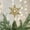 B, variant on Dvkptbk Christmas Tree Topper, Xmas Glitter Gold Hollow Star Treetop with Built-In Soft Glowing Lights, Topper for Christmas Tree Decorations,