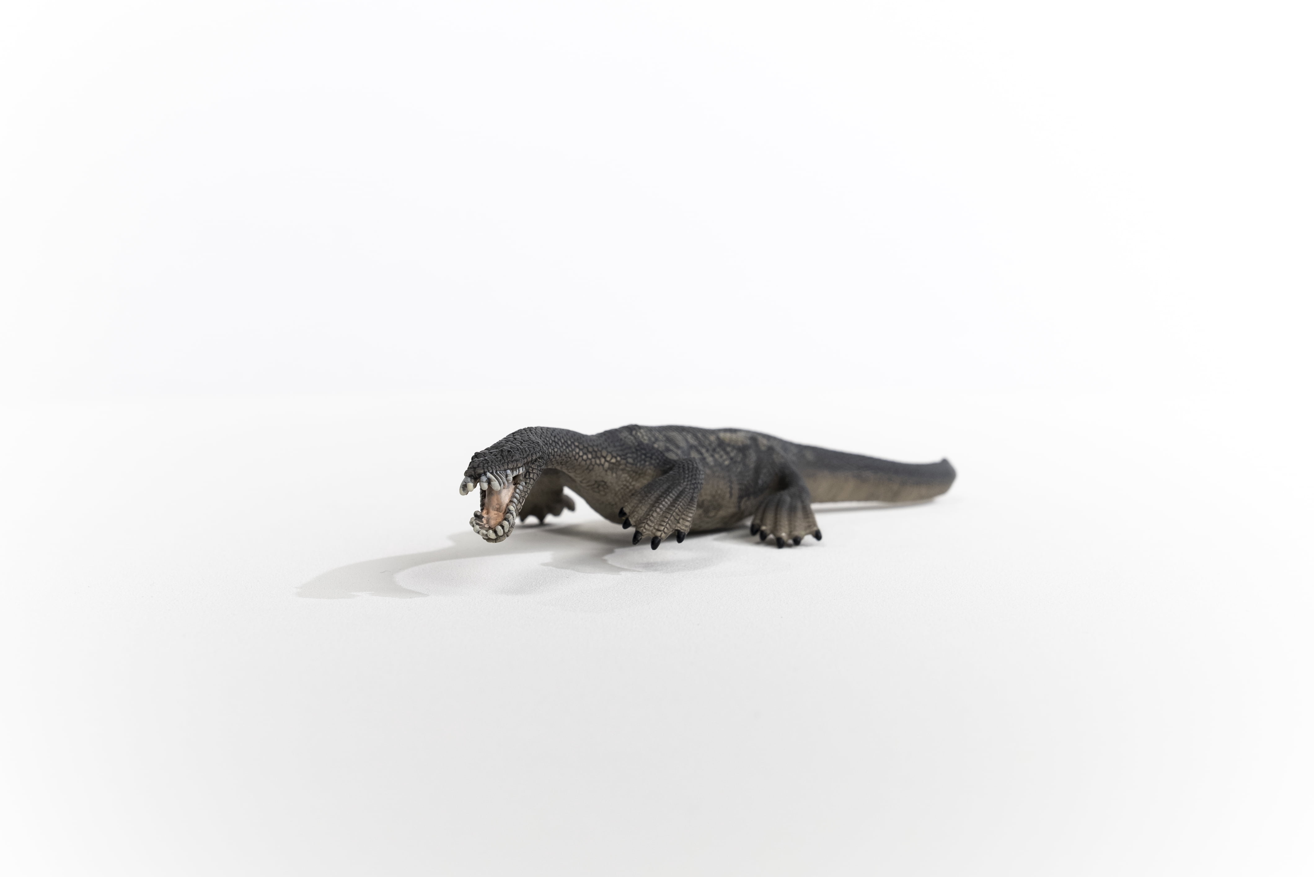 Schleich Dinosaurs - Large Dinosaur Toys for Boys and Girls- Realistic Nothosaurus Toy Figurine- Ages 4+