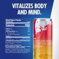 thumbnail image 2 of Red Bull Winter Edition Energy Drink,  Fuji Apple & Ginger,  12 fl. oz. Can,  114mg Caffeine, 2 of 16