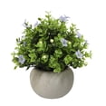 thumbnail image 2 of Dusknt Artificial Plants Small Potted Plants for Shelf Decor, Fers with Pot for House Tabletop Bathroom Bedroom Farmhouse OficeGreenery, Blue, 2 of 9
