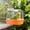 Orange-Free Size/OR, variant on Hanging Bird Bath Box Parrot Cage Non Slip Bathing Tub with Splash Guard for Cockatiel Budgie Indoor