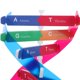 thumbnail image 5 of Kit de ADN Kit de modelo de doble hélice Montaje de soporte de exhibición de ADN Modelo de doble hélice Equipo de aprendizaje de genes humanos Juguete Ciencia Modelos de ADN Kit de modelo molecular, 5 of 8