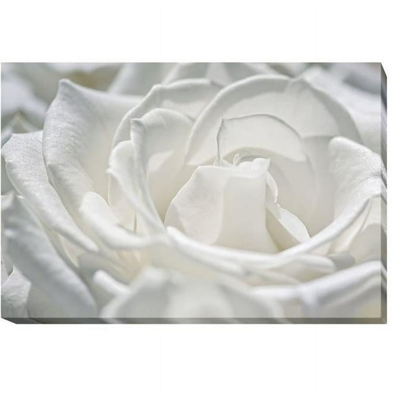 Coolness by Dina Maria Premium Oversize Gallery-Wrapped Canvas Giclee Art - 30 x 45 x 1.5 in.