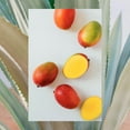 thumbnail image 5 of The Bounce Back Conditioner | Mango Butter + Agave + Carrot Oil | 18 oz, 5 of 5