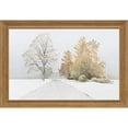thumbnail image 1 of North American Art N2067 22 x 34 Po Automne Neige Encadrée Art Print, 1 of 1