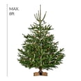 thumbnail image 2 of Soporte para árbol de Navidad Krinner Kopenhagen, roble marrón, 50 cm, 2 of 6