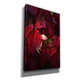 thumbnail image 2 of Epic Graffiti 'Red Velvet' by Philippe Sainte-Laudy, Canvas Wall Art, 12"x18", 2 of 8