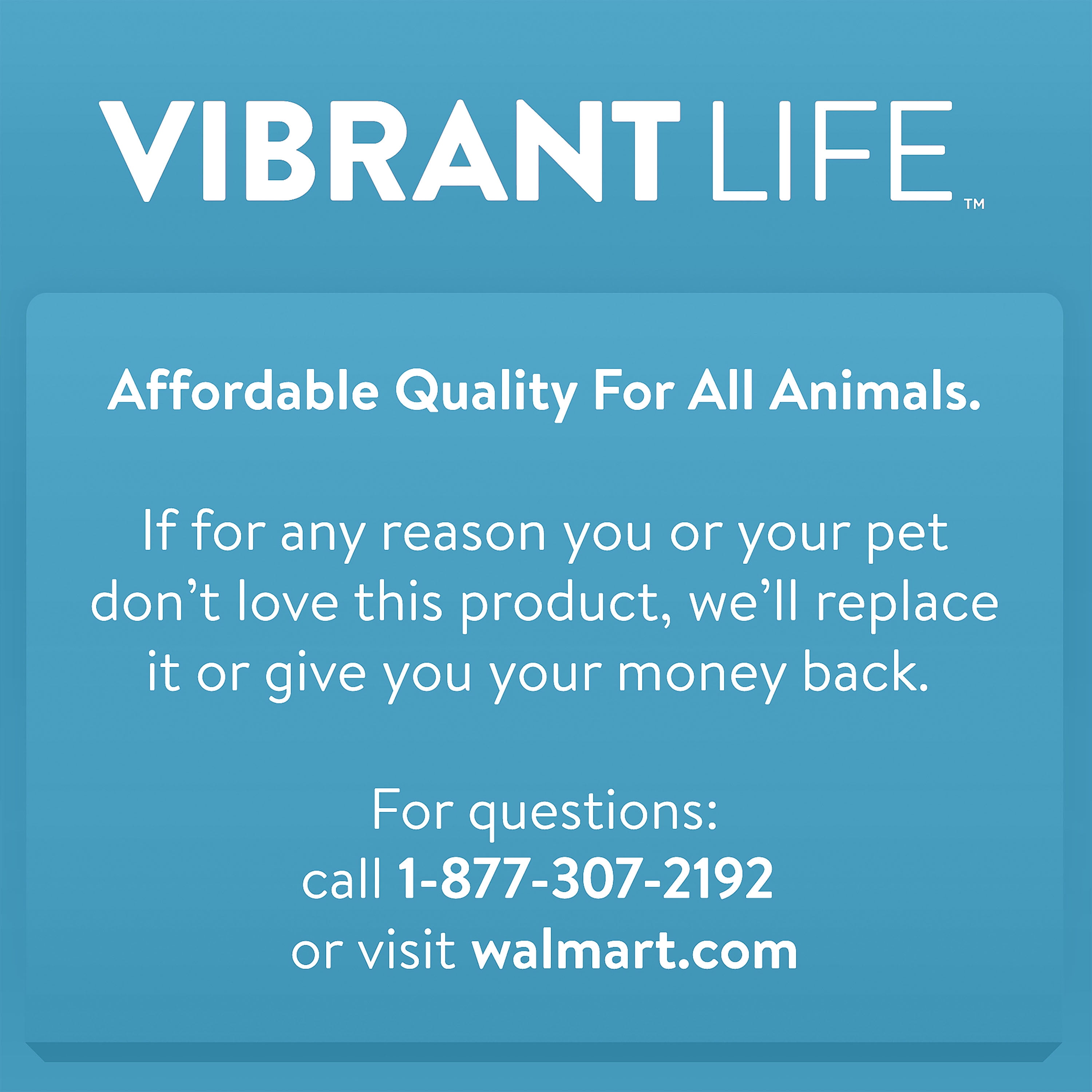 Vibrant Life 6' Reflective Polyester Dog Leash, Black, Large
