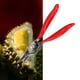 thumbnail image 4 of Abridor de Durian, máquina manual de descascarado de Durian, clip de cáscara de fruta, herramientas para romper la cáscara de Durian, clips de abridor perfecl Abridor de durián, 4 of 8