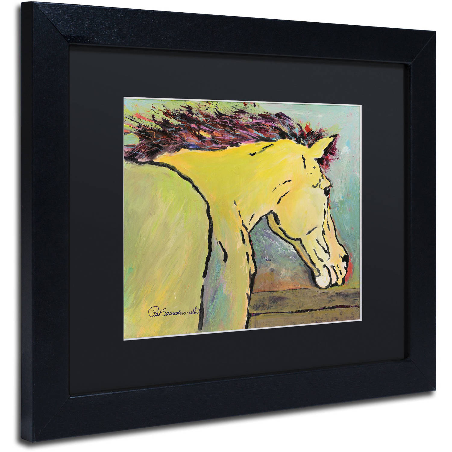 Trademark Fine Art "Waiting for Sunrise" Canvas Art by Pat Saunders-White, Black Matte, Black Frame