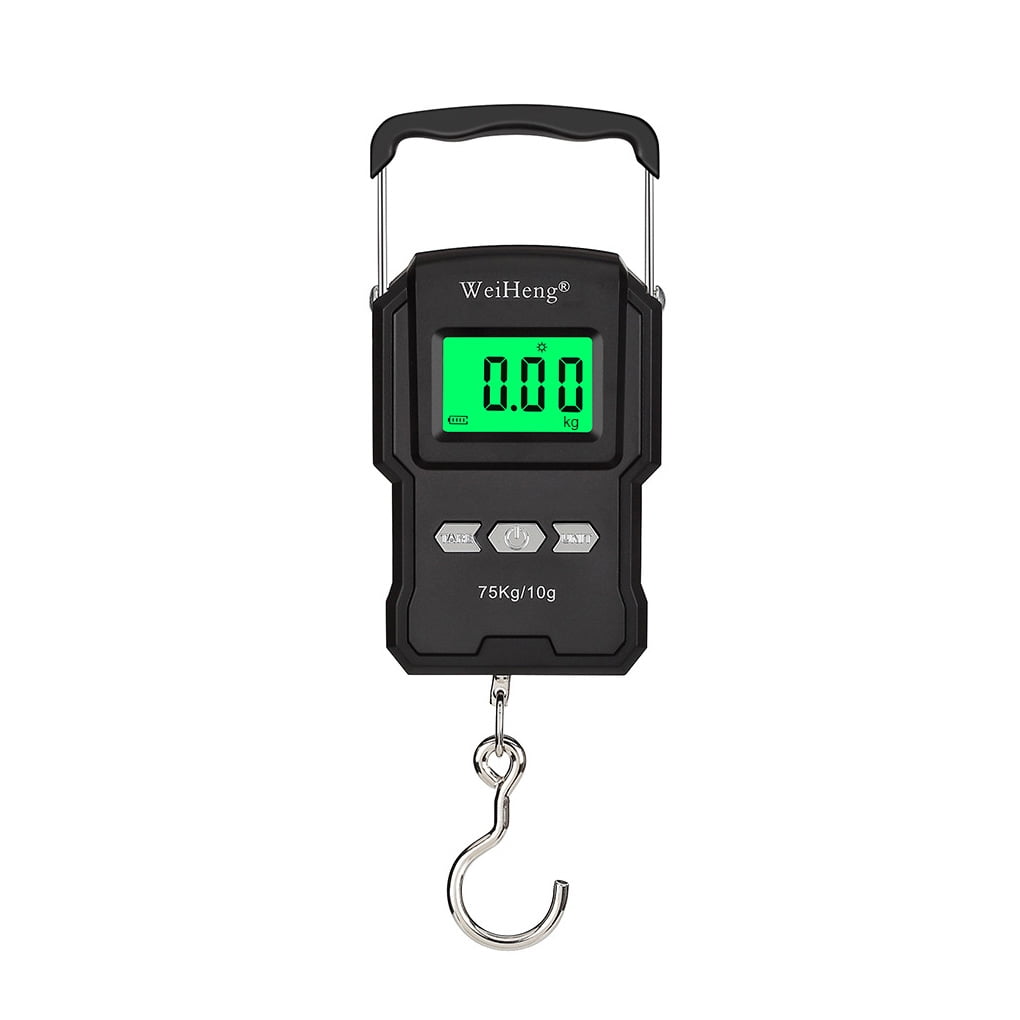 Fishing Scale 75kg/10g LCD Digital Temperature Display Electronic