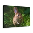 thumbnail image 2 of Majestic Rabbit Art Majestic Rabbit Print Animal Wall Art Wildlife Canvas Prints Wall Art Ready to Hang Unframed, 2 of 18